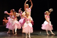 Pink ballerinas